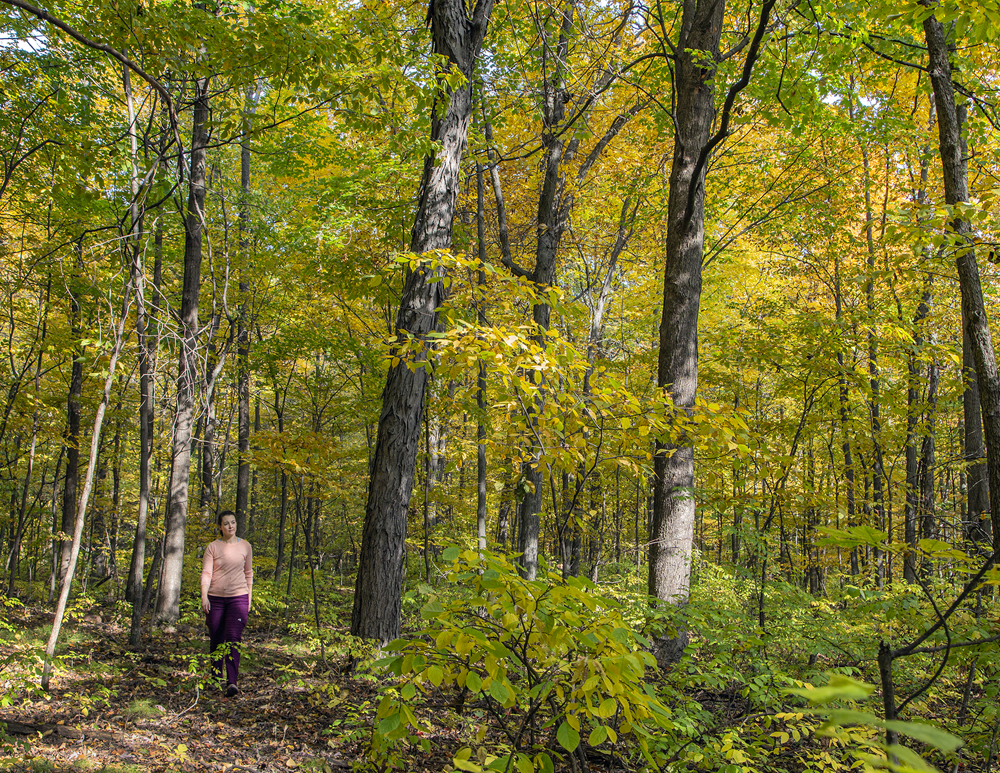 Photo credit: Eddee Daniel, Preserve Our Parks.